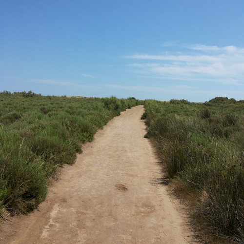 Urlaub Frankreich 2015 (43)